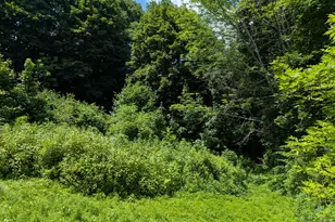 25 Charles St, Belfast, ME 04915 - Photo 41