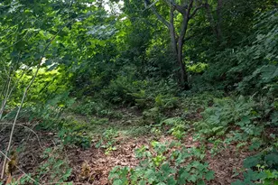 25 Charles St, Belfast, ME 04915 - Photo 43