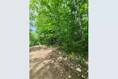 Lot #44 Mill Hill Road, Springfield, ME 04487 - Photo 3