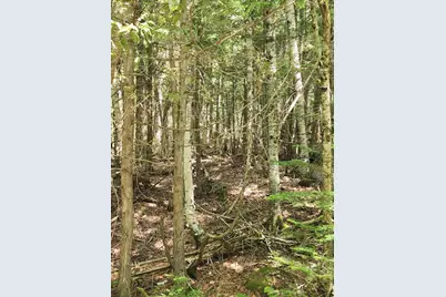 Lot #44 Mill Hill Road, Springfield, ME 04487 - Photo 7