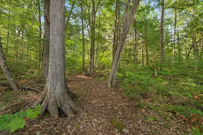 Lot 1-3 Bill Green Road, T3 R1 Nbpp, ME 04455 - Photo 43