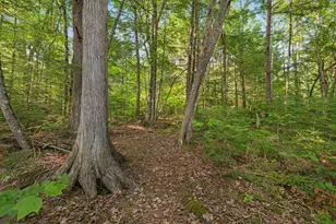 Lot 1-3 Bill Green Rd, T3 R1 Nbpp, ME 04455 - Photo 43