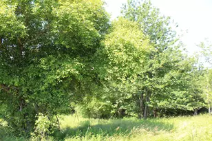 385 Main St, East Machias, ME 04630 - Photo 71