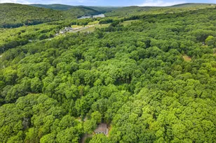 46 Larkspur Rd, Dedham, ME 04429 - Photo 25