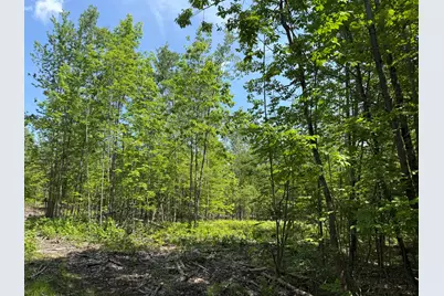 0 Fosterville Road, Bridgton, ME 04009 - Photo 7