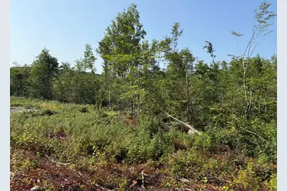 Tbd Oak Mountain Road, Springfield, ME 04487 - Photo 3