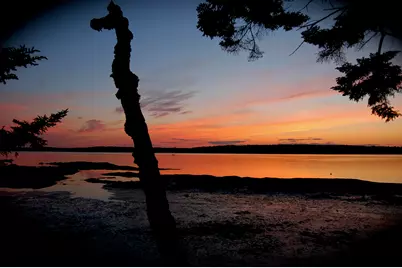 14 Merganser Way, Freeport, ME 04032 - Photo 71