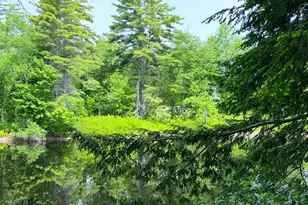 00 North Rd, Parsonsfield, ME 04047 - Photo 17