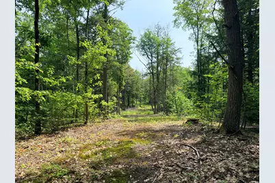 00 North Road Lot #2, Parsonsfield, ME 04047 - Photo 17
