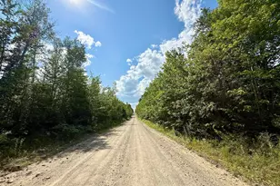 Tbd Loon Bay Rd, Dyer Twp, ME 04492 - Photo 47