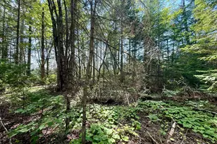 Tbd Loon Bay Rd, Dyer Twp, ME 04492 - Photo 7