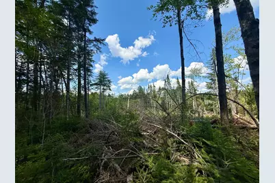 Tbd Loon Bay Road, Dyer Twp, ME 04492 - Photo 39