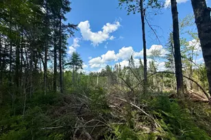 Tbd Loon Bay Rd, Dyer Twp, ME 04492 - Photo 39