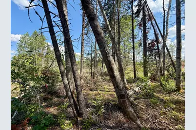 Tbd Loon Bay Road, Dyer Twp, ME 04492 - Photo 41