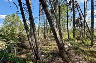 Tbd Loon Bay Rd, Dyer Twp, ME 04492 - Photo 41