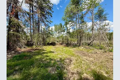 Tbd Loon Bay Road, Dyer Twp, ME 04492 - Photo 45