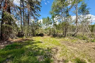 Tbd Loon Bay Rd, Dyer Twp, ME 04492 - Photo 45