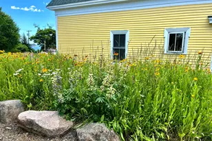 237 Harbor Rd, Swans Island, ME 04685 - Photo 41