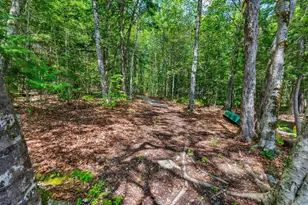 43 Hoyt Dr, Monmouth, ME 04259 - Photo 83
