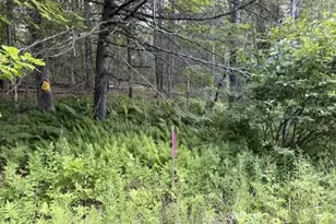 110 Calderwood Rd, Washington, ME 04574 - Photo 1