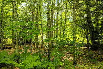 345 Buzzell Hill Road, Hope, ME 04847 - Photo 29