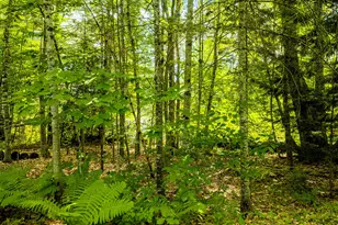 345 Buzzell Hill Rd, Hope, ME 04847 - Photo 29