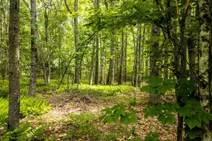 345 Buzzell Hill Rd, Hope, ME 04847 - Photo 33
