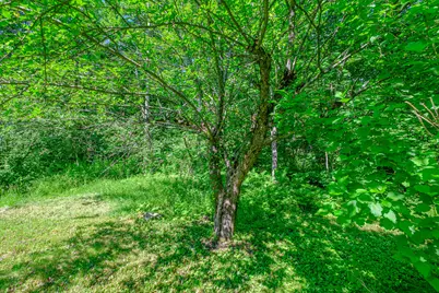 146 Demeritt Road, Newfield, ME 04095 - Photo 33