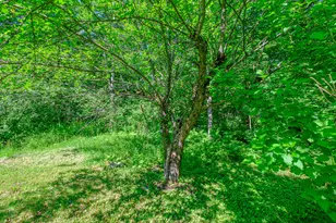 146 Demeritt Rd, Newfield, ME 04095 - Photo 33