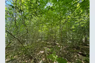 113 Town Hall Road, Lakeville, ME 04487 - Photo 23