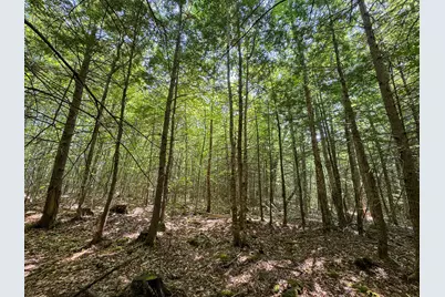 113 Town Hall Road, Lakeville, ME 04487 - Photo 15