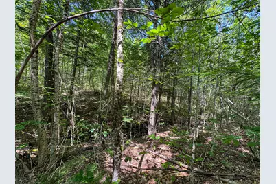 113 Town Hall Road, Lakeville, ME 04487 - Photo 21
