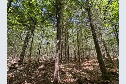113 Town Hall Road, Lakeville, ME 04487 - Photo 17