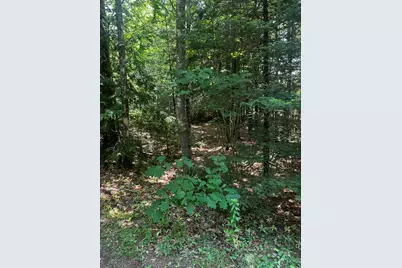 25 Cottage Lane, Orland, ME 04472 - Photo 9