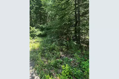 25 Cottage Lane, Orland, ME 04472 - Photo 13