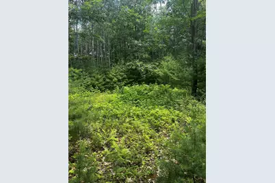 25 Cottage Lane, Orland, ME 04472 - Photo 3