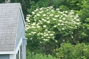 714 Mt Pisgah Rd, Winthrop, ME 04364 - Photo 75