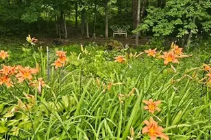 714 Mt Pisgah Rd, Winthrop, ME 04364 - Photo 85