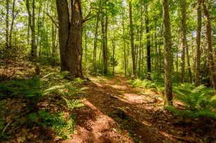 70 Blissful Wy, Union, ME 04862 - Photo 45