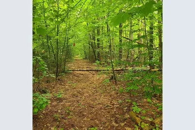 31 Flat Road, Bethel, ME 04217 - Photo 11