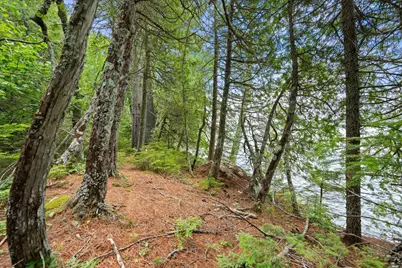 Lot#9A Railroad Bed Road, Lake View Plantation, ME 04463 - Photo 3