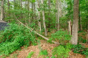 86 Tufton St, Brunswick, ME 04011 - Photo 31