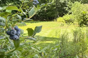 766 Brunswick Rd, Richmond, ME 04357 - Photo 25