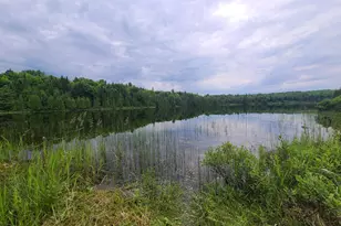 Lot 4 & 5 Russell Lake Rd, Linneus, ME 04730 - Photo 5