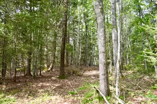 115 Campbell Pond Rd, West Bath, ME 04530 - Photo 39