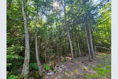M U10 L6 Loon Cove Lane, Strong, ME 04983 - Photo 41