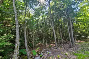 M U10 L6 Loon Cove Ln, Strong, ME 04983 - Photo 41
