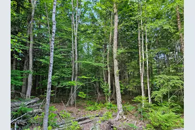 M U10 L6 Loon Cove Lane, Strong, ME 04983 - Photo 47