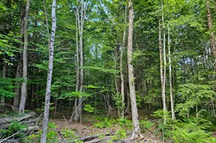 M U10 L6 Loon Cove Ln, Strong, ME 04983 - Photo 47