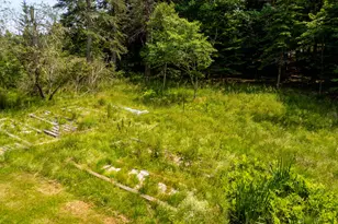 59 Elm St, Machias, ME 04654 - Photo 17